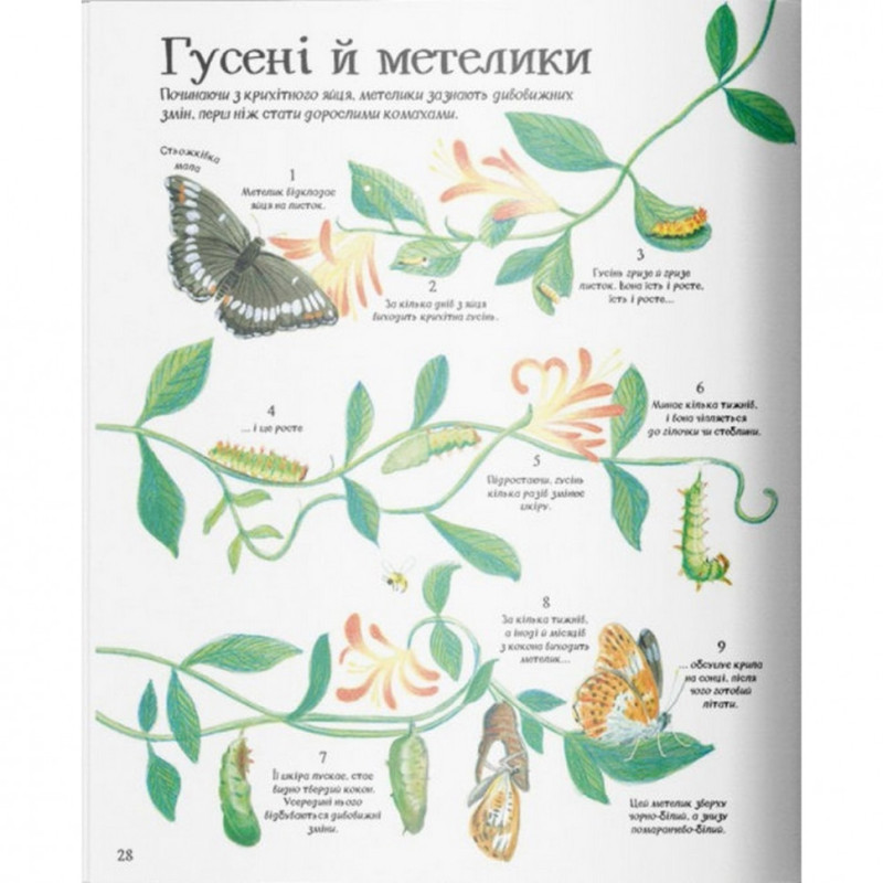 Дитяча велика ілюстрована книга про природу Жорж 104010