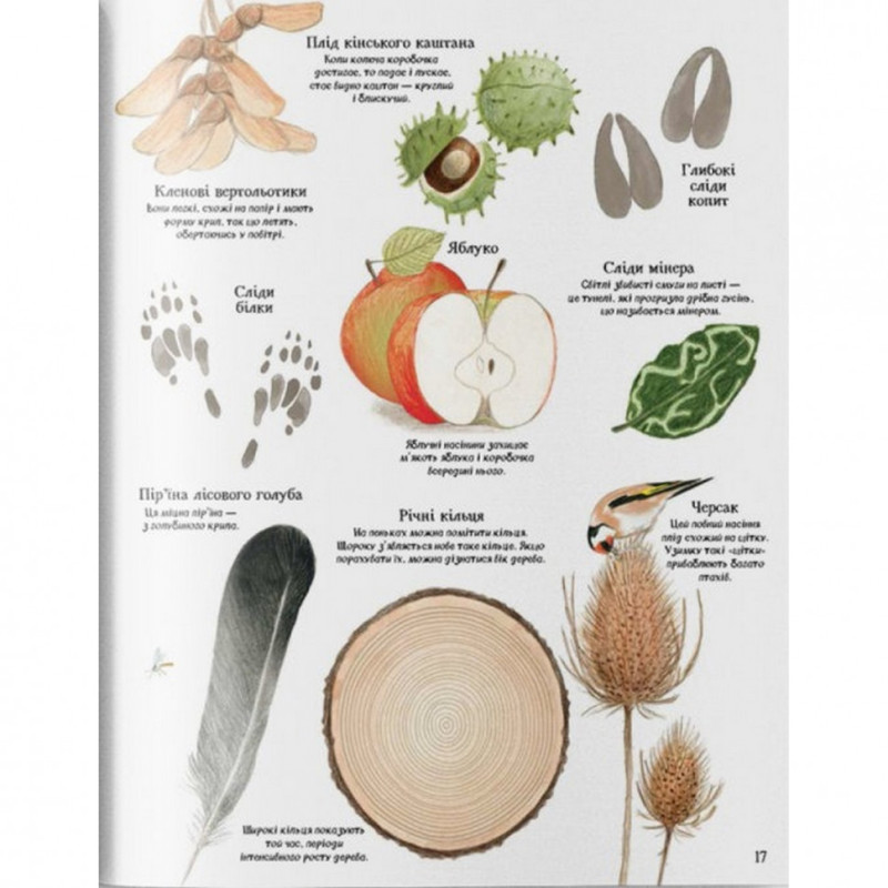 Дитяча велика ілюстрована книга про природу Жорж 104010