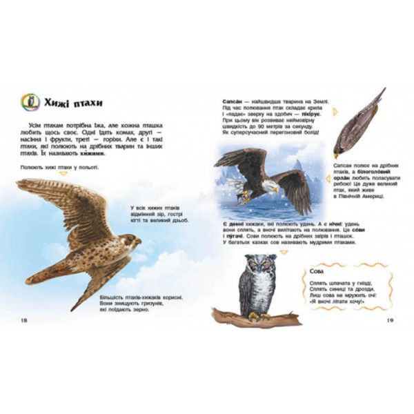 Енциклопедія дошкільника Птахи 614032 для найменших (614032)