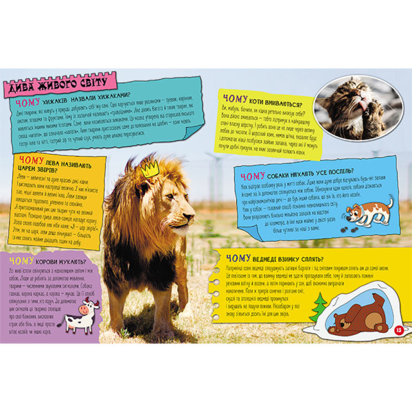 Енциклопедія у питаннях та відповідях "100 відповідей на запитання ЧОМУ?" 880003 (880003)