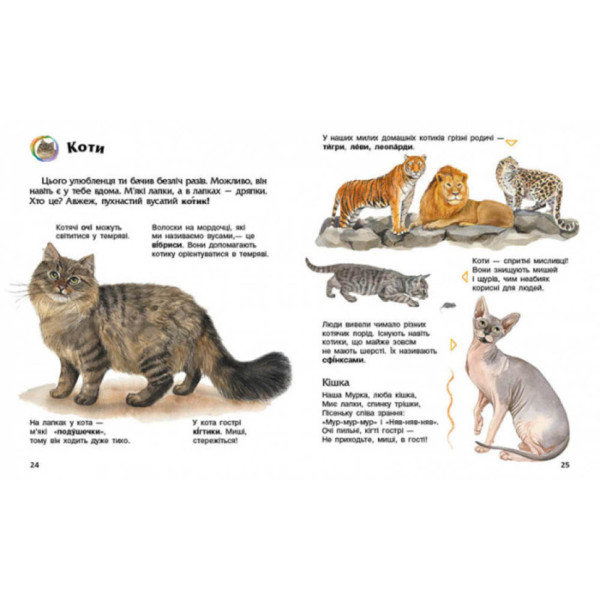 Енциклопедія дошкільника Домашні тварини 614029 для найменших (614029)