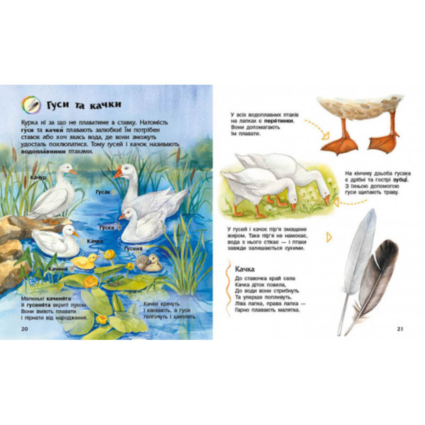 Енциклопедія дошкільника Домашні тварини 614029 для найменших (614029)