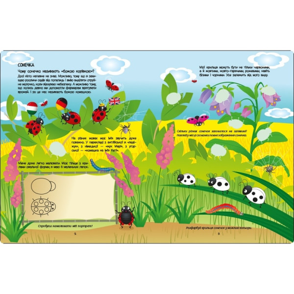 Розвиваючий зошит "Зелена книга про комашок" 15211 з наклейками (15211)