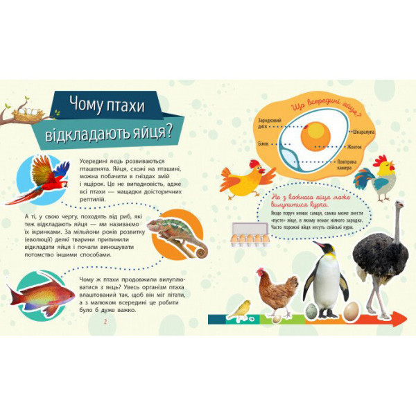 Навчальна книжка Чомусики "Тварини" 875008 запитання та відповіді (875008)