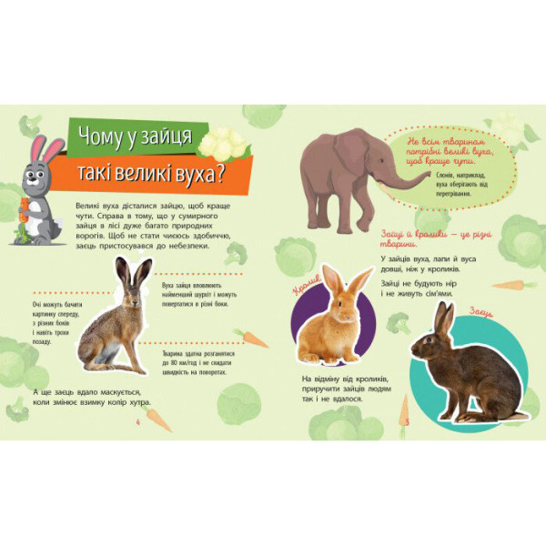 Навчальна книжка Чомусики "Тварини" 875008 запитання та відповіді (875008)