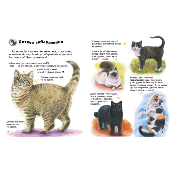 Енциклопедія дошкільника "Коти" 614039 для найменших (614039)