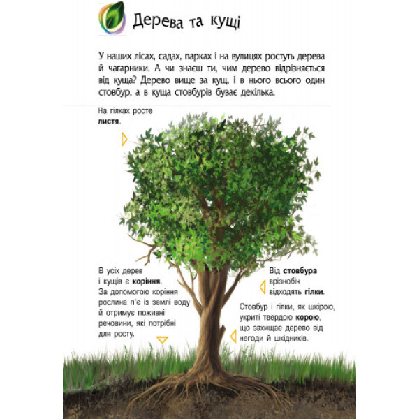 Дитяча енциклопедія про природу 614008 для дошкільнят (614008)