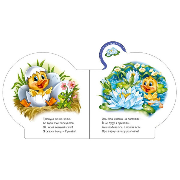 Картонна книжечка "Все про всіх: Все про каченя" 289024 українською мовою (289024)