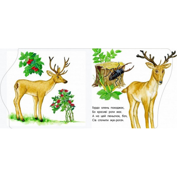 Детская книжечка "Первые шаги: В зоопарке" 410012 на украинском языке (410012)
