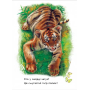 Книга дитяча Малятам про звірят. Лісові звірята 212011 з аудіосупроводом