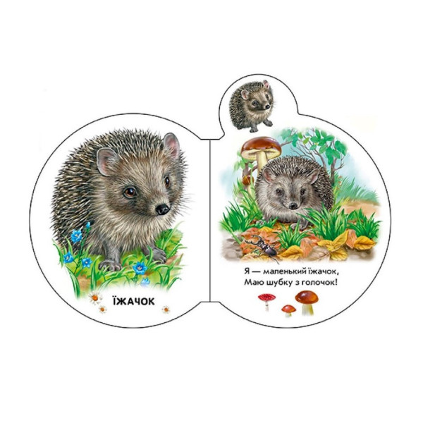 Картонна книжечка для найменших Малята : У лісі 411017 аудіо-бонус (411017)