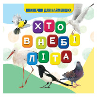 Моя перша книжечка Хто в небі літає VR06041708, 10 сторінок (VR06041708)
