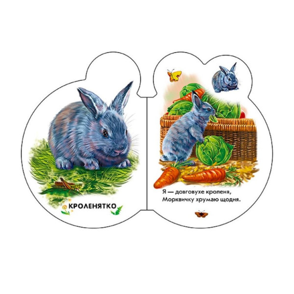 Картонна книжечка для найменших Малюки: У дворі 411015 аудіо-бонус (411015)