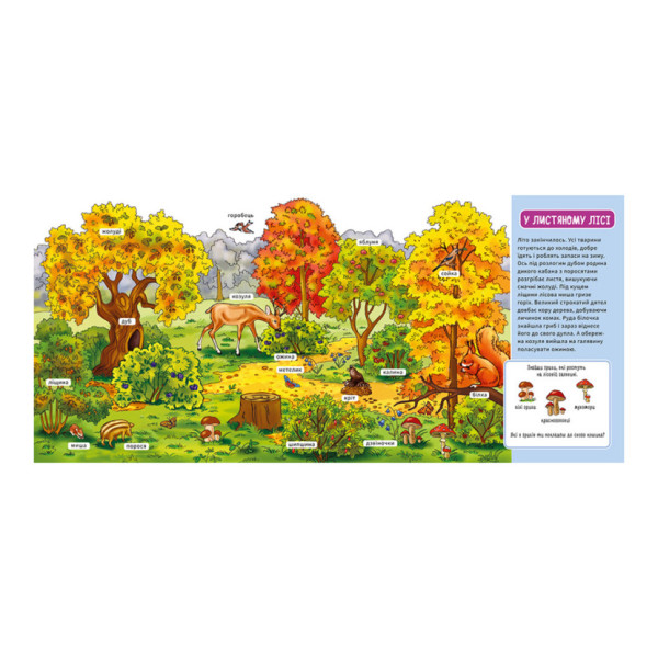 Мій перший словничок "У лісі" Ранок 116032 з віконцями (116032)