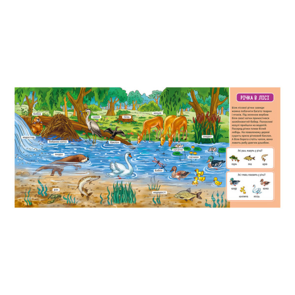 Мій перший словничок "У лісі" Ранок 116032 з віконцями (116032)