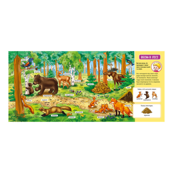 Мій перший словничок "У лісі" Ранок 116032 з віконцями (116032)