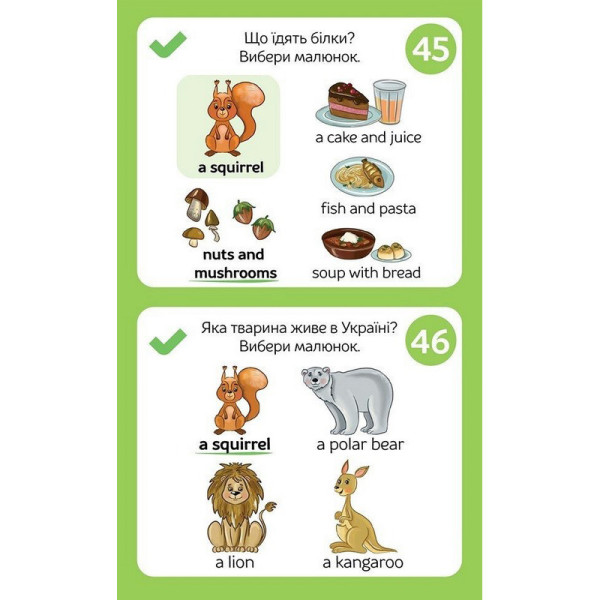Розвиваючий блокнот English 6+ 156554 у картинках грайки (156554)