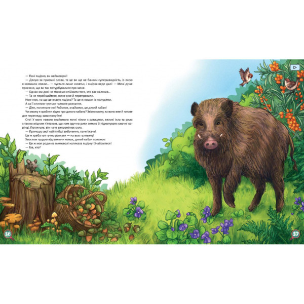 Дитяча книжка Хвости. Найперший детектив 253646, 40 сторінок (253646)