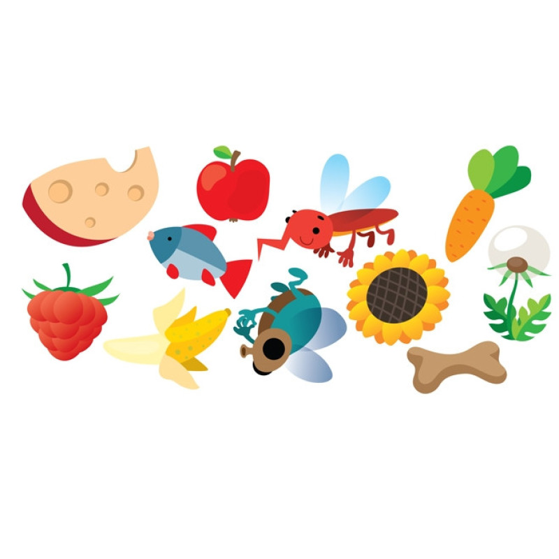 Дитяча книга "Що їсть малюк?" Кошеня" 402894 з наклейками Дитяча книга "Що їсть малюк?" Кошеня" 402894 з наклейками