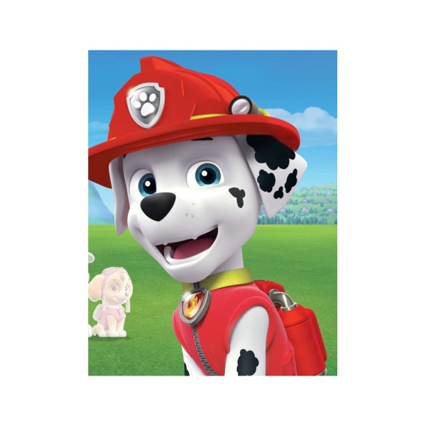 Книга з наклейками Щенячий патруль Безстрашні цуценята Ранок 192001 Укр (192001)