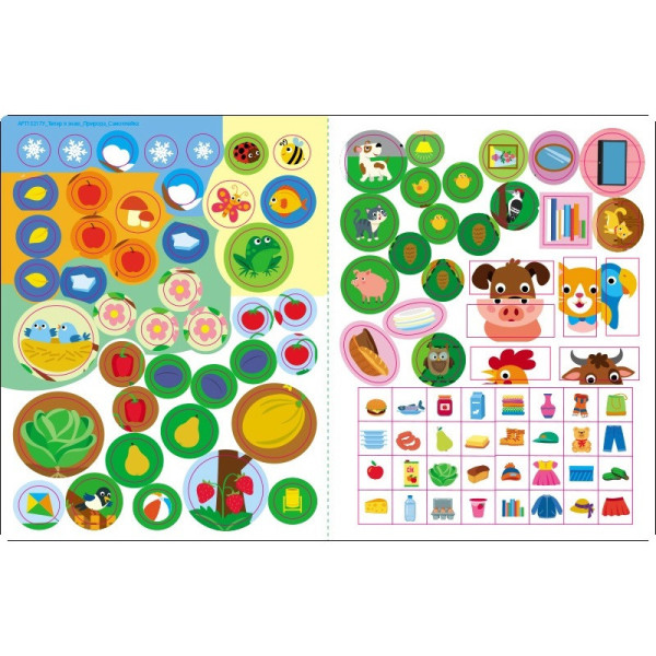 Розвиваючий зошит "Тепер я знаю Природа" 15217 з наклейками (15217)