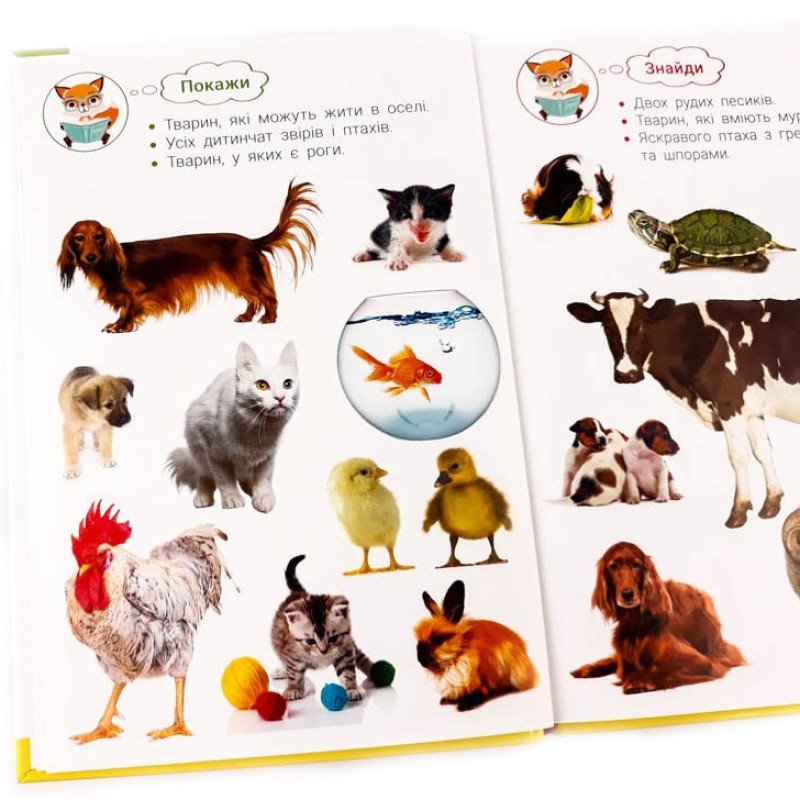 Навчальна фотокнига. Царство тварин 117686