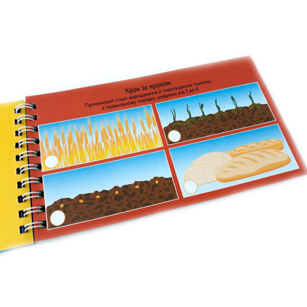 Навчальна книга Цифри 4+ Грайки 123003 (123003)