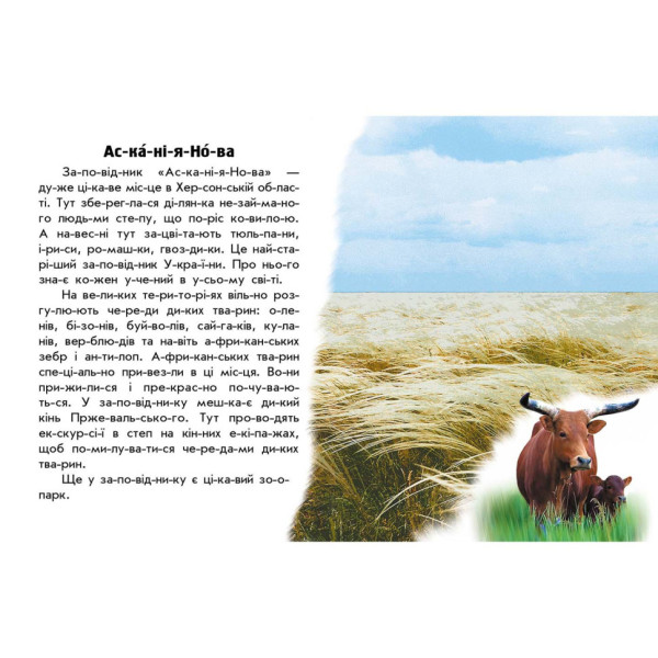 Читаю про Україну по складах "Парки та заповідники" 366018 з кольоровими ілюстраціями (366018)