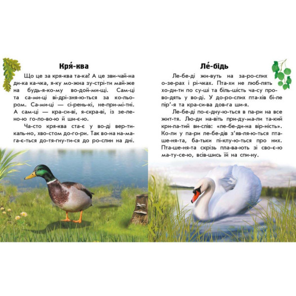 Читаю про Україну по складах "Тварини річок та морів" 366024 з кольоровими ілюстраціями (366024)