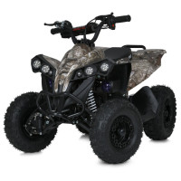 Детский электромобиль Квадроцикл PROF1 E-XBW-1200S-13(MP3) до 75 кг(E-XBW-1200S-13(MP3))