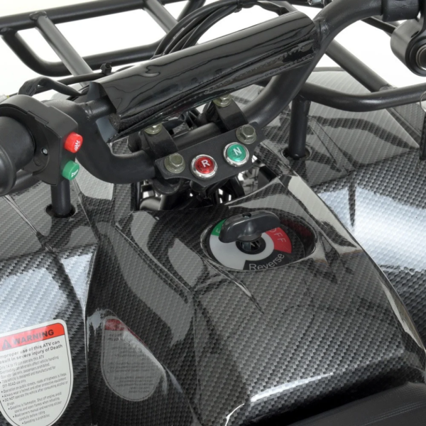 Дитячий електромобіль Квадроцикл Bambi HB-ATV800AS-19 Карбоновий-Чорний (HB-ATV800AS-19)