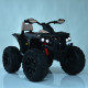 Дитячий електроквадроцикл Bambi Racer M 4795EBLR-1 до 30 кг (M 4795EBLR-1)