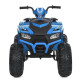 Дитячий електромобіль Квадроцикл M 6060EL-4 (24V) до 35 кг (M 6060EL-4(24V))
