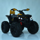 Дитячий електроквадроцикл Bambi Racer M 4795EBLR-6 до 30 кг (M 4795EBLR-6)