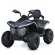 Дитячий квадроцикл-толокар 3 в 1 M 6222EBLRS-11 до 23 кг (M 6222EBLRS-11)