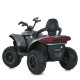 Дитячий квадроцикл-толокар 3 в 1 M 6222EBLRS-11 до 23 кг (M 6222EBLRS-11)