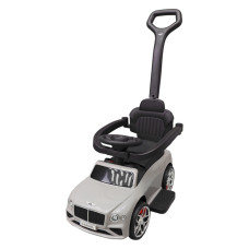 Дитяча Каталка-толокар 2 в 1 M 6252EL-11 до 20 кг (M 6252EL-11)