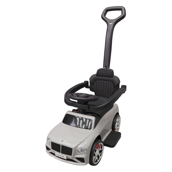 Дитяча Каталка-толокар 2 в 1 M 6252EL-11 до 20 кг (M 6252EL-11)