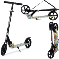 Самокат дитячий iTrike SR2-010-2-WP1 складаний (SR2-010-2-WP1)