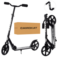 Самокат дитячий iTrike SR2-010-10-BB складаний (SR2-010-10-B-B)