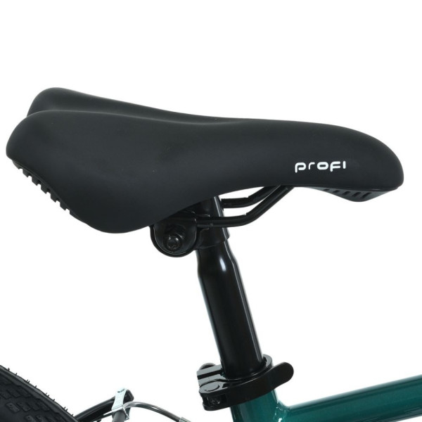 Велосипед дитячий LIGHTY MB 20LIGHTY RAIN FOREST, колеса 20 дюймів (MB 20LIGHTY RAIN FOREST)