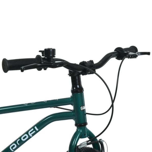 Велосипед дитячий LIGHTY MB 20LIGHTY RAIN FOREST, колеса 20 дюймів (MB 20LIGHTY RAIN FOREST)