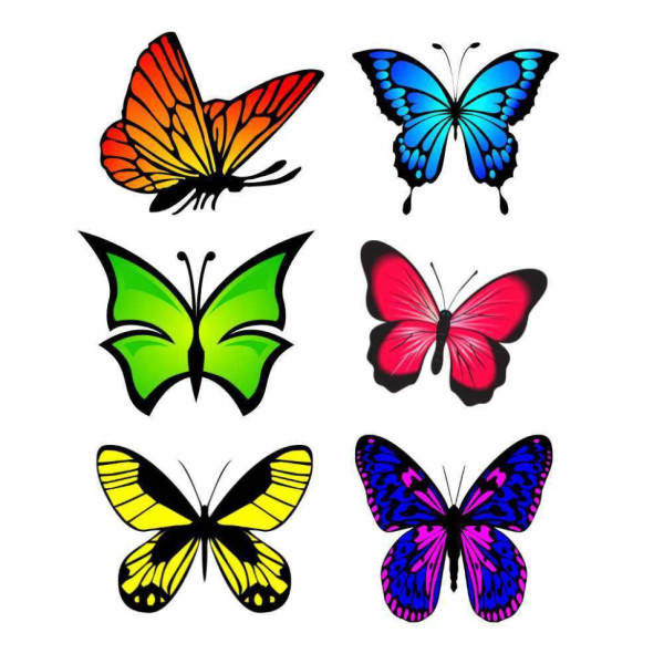 Временная татуировка Бабочки Ink-Ok 27618735, 6 картинок