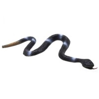 Игрушка змея Y16 погремушка, 25 см