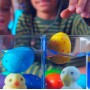 Растущая игрушка "Птички" #sbabam 91/CN22 в яйце «Eggy Animals»