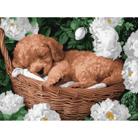 Картина за номерами "Сплячий пудель" Ідейка KHO6677 30х40 см