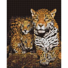 Алмазна мозаїка "Нічні леопарди" DBS1085 Brushme 40х50 см