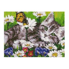 Алмазна мозаїка "Кошеня серед квітів" EJ1366, 40х30 см