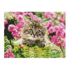 Алмазна мозаїка "Киця в кошику" EJ1371, 40х30 см