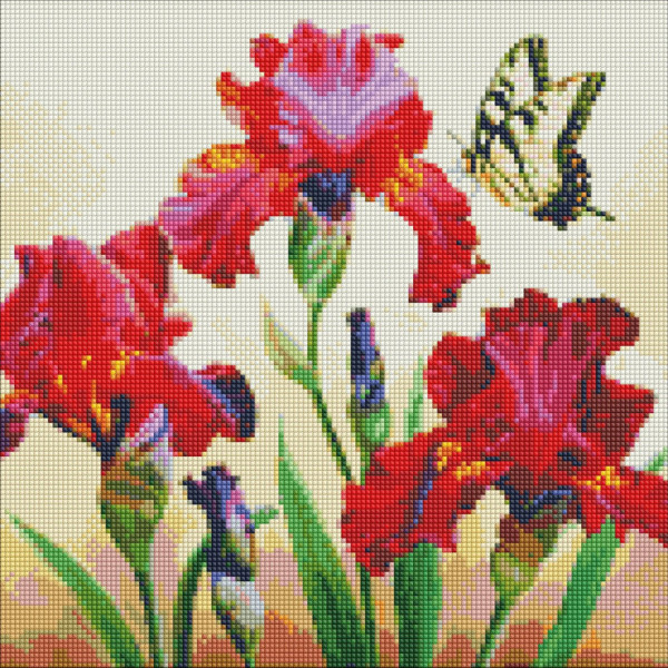 Алмазна мозаїка "Вишукані іриси" ©annasteshka AMO7650 40х40 см Ідейка